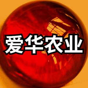 Aihuazhibao 头像