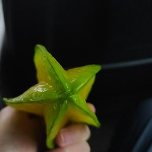 麦田守望者 头像