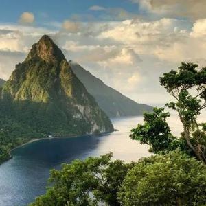 努力赚钱养家的小瑜 头像