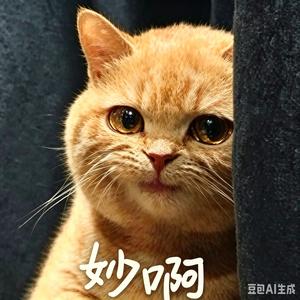 DNF寄风 头像