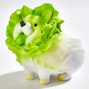 灬一朵菊花压海棠灬 头像