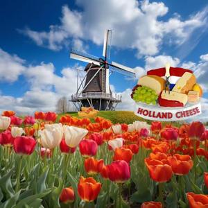 混血姐弟在荷兰 头像