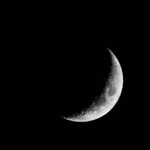 若比邻（旅居） 头像