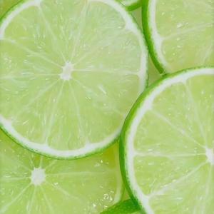 丛林里生长的蘑菇 头像