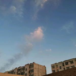 大葱卷煎饼101 头像