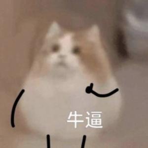 傻蛙滴卡 头像