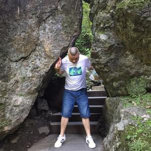 波斯猫会游泳 头像