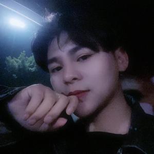 威利哥旅行记 头像