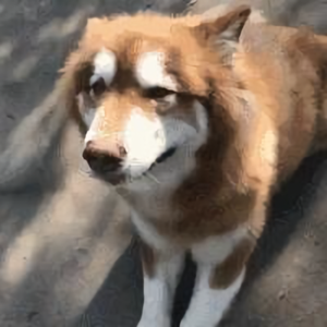 营养快线不够了 头像