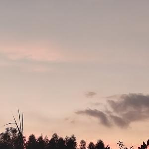 明月清风 头像