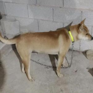 明哥玩土猎 头像