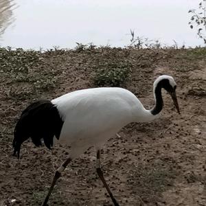 龙穿凤昌哥美食 头像