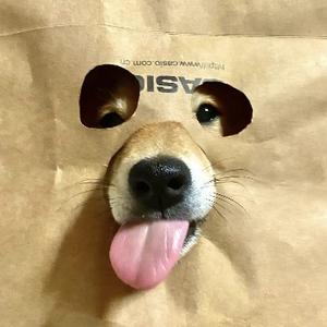 梦想先行者 头像