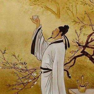 云岭鹏飞任逍遥 头像