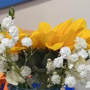 阿Q聊教育 头像