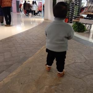 香芋加奶茶 头像