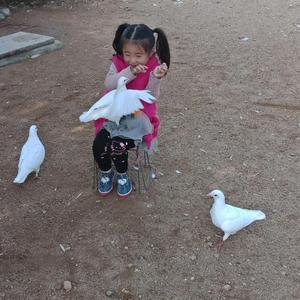 美丽的小青年 头像