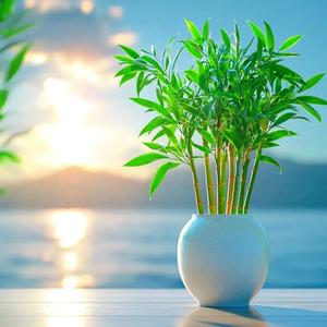 阳光穿透我的脸 头像