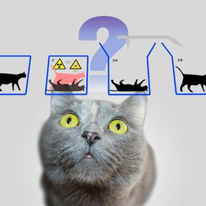 薛定谔的鹅顶靴 头像