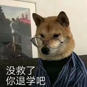 小鸥同学1082 头像