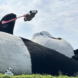 四哥科技说 头像