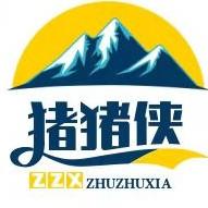 猪猪侠 头像