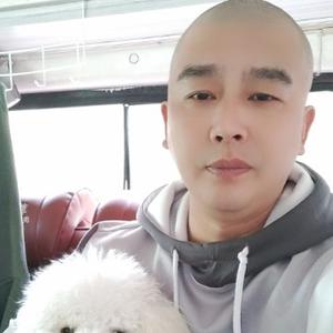 老石头流浪记