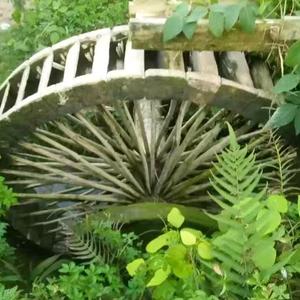 乐天随缘0欣0 头像