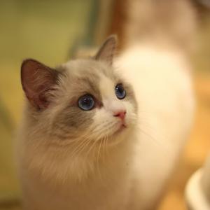 小小一滴墨 头像