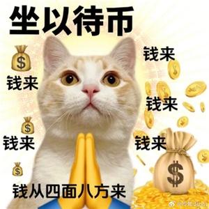 钱来的奇思妙想头像