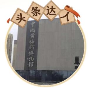 宜人爱玩鸟