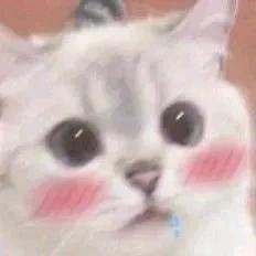 sky益生菌 头像
