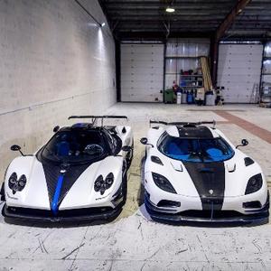 蓝星上的暴躁兔 头像