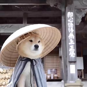 囧囧芭子