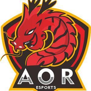 AOR•ESPORTS傲龙电竞家具旗舰店头像