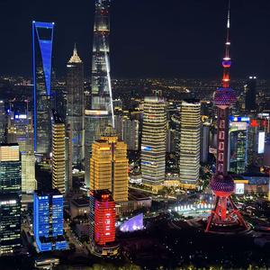 老陆游上海 头像