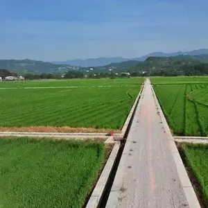 乡村守护人啊 头像