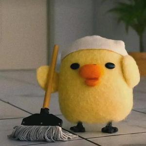 上进的西柚 头像