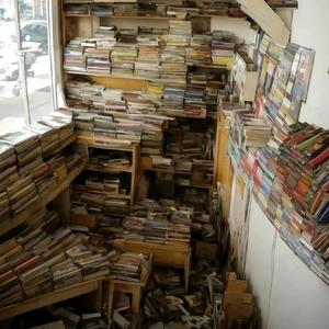 八哥带你吃喝玩乐 头像