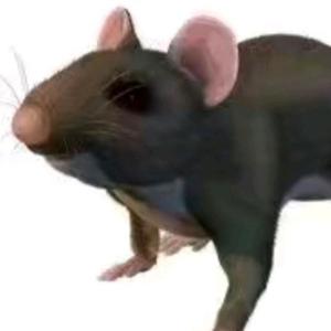 潇洒麻酱IUviK 头像