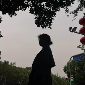 蓝菊54