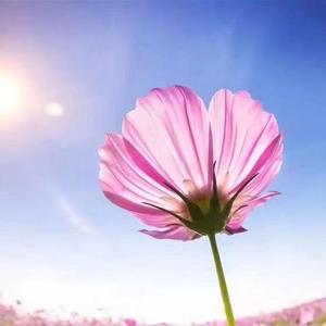 生活记录者 头像