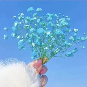 晓笛爱分享 头像