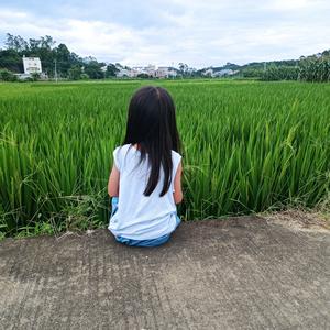 莹莹爱分享 头像