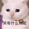 冬眠二次元 头像
