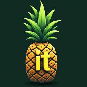 种凤梨的IT人 头像