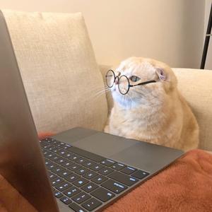 信元发育宝 头像