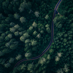 温柔布莱兹1i0 头像