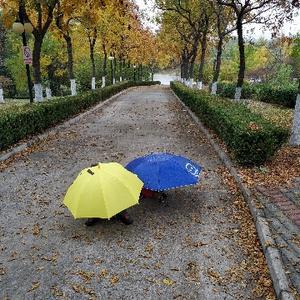 路边社财经 头像