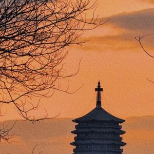 小小梦想的螺丝钉 头像